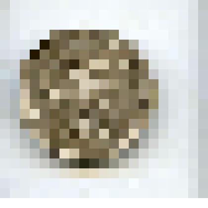 Монета 1 рубль. "ХII Всемирный фестиваль молодежи и студентов в г. Москва 1985"