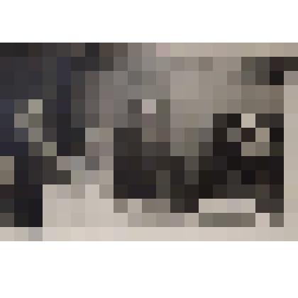 Фиала Марианна Давидовна, Бурлюк-Кузнецова Людмила Давидовна, Никифоров Николай Алексеевич, неустановленное лицо