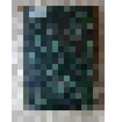 Журнал "Вестник Европы", июнь 1881 г