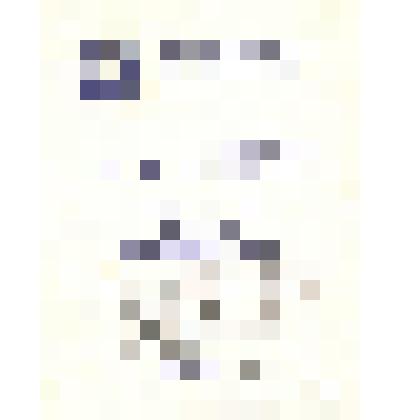 Программа "Эта маленькая земля" "Программа"