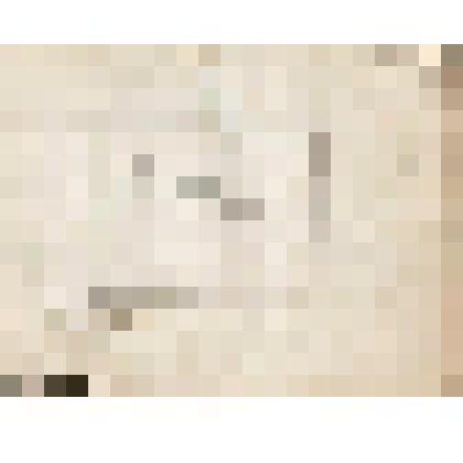 Телеграмма № 1005 в г. Чердынь В. Н.Алину от Бодунова из г. Барнаула, 30.11.1890 г