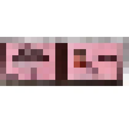 Удостоверение № 12-12 члена Молодежного парламента при Законодательном Собрании Пермского края Батаговой Анны Александровны, выдано 24.12.2013 г. Председателем Законодательного Собрания Пермского края