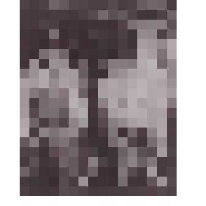 Фотография. Коми-пермяки