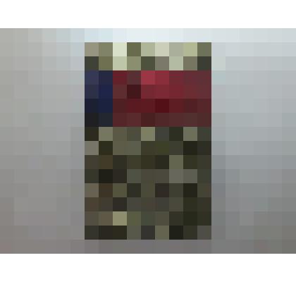 Значок сувенирный
Общество охраны памятников