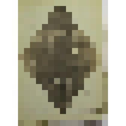 Фотография супругов Сергеевых Н. М. и И. С