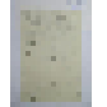 Заметки для мемуаров о Л.Н.Толстом