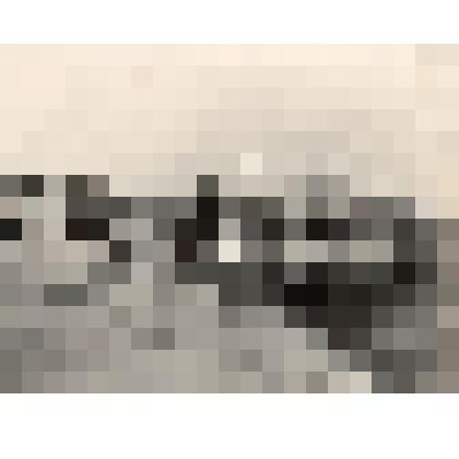 Фото "Теплоход ВТ-50 у берега с людьми на борту"