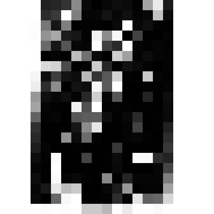 Iз книг Марii Пастух