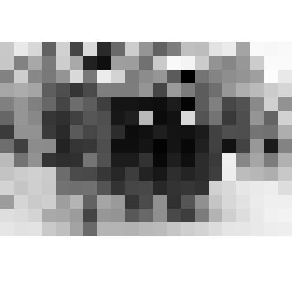 Фото ч/б. Сестры Медведчука Ф.К. во время шествия близ д. Александровка, в связи с перезахоронением в братскую могилу д. Александровка праха троих погибших воинов. 18.10.1981 г