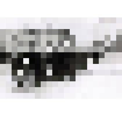 Фотография. Возложение цветов Чишминской делегацией к памятнику В.И.Ленина, г.Уфа