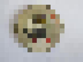 Значок "Кот в сапогах"