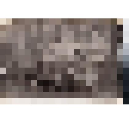 Ф/чб. Группа однополчан 326-го артиллерийского полка 148-й  стрелковой дивизии: Петров, Феп, Ананьев, Лопаткин, Полякович, Менюк, Дыдин, Барский, Клочков. Чехословакия. 1.06.1945