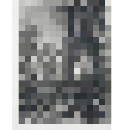 "Лес ночью". Гравюра