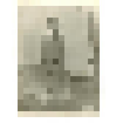 Фото видовое. Памятник Василю Пересаде