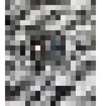 Монета достоинством 2 шекеля