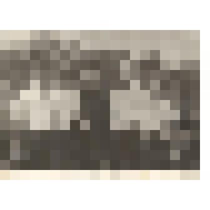 Фотография. Сослуживцы - уфалейцы, (Егоров Н.Н.: 2-й слева)