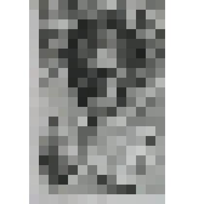 Портрет Чарльза Гговарда, [II] барона Эффингэма , [I] графа Ноттингема, Лорда - адмирала