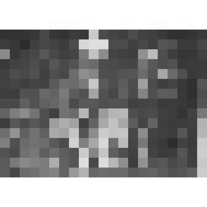 Большой дворец. Дубовый кабинет. Северная стена. Камин