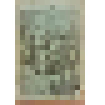 Книга. Семенов С.Т. Не все то золото, что блестит, или По одежке встречают, а по уму провожают [Text] / Издательство в книге не указано. - М. : Издательство "Посредник" (№ 220), 1898 (Типо-литография И.Е.Ермакова)