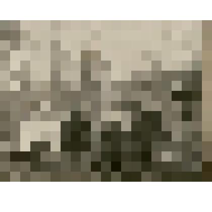 Фотография из фотоальбома. Соврудники 1927-1929гг. - тайга, рабочие, драги