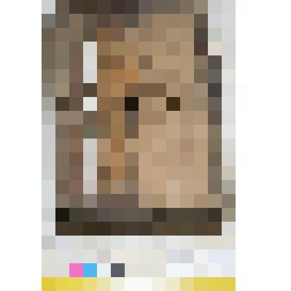 Фрагмент лубяного короба для упаковки книг