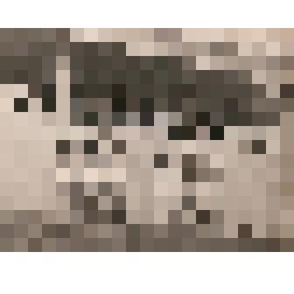 Фотография. На спортивном празднике в Кавголово. Цветы почетным гостям. 36-я З.с.д