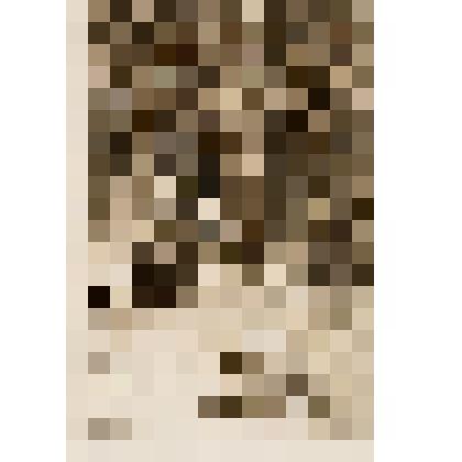 Избушка В.М. Васнецова (Абрамцево)