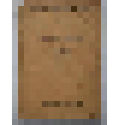 Книга. Анатомия кролика. Издание второе. Типо-литогр. им.Воровского