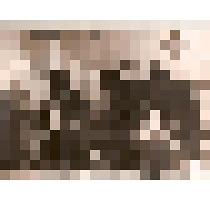 Встреча выпускников Мичуринской детской музыкальной школы с преподавателями школы (за роялем Лашкин А.И.)