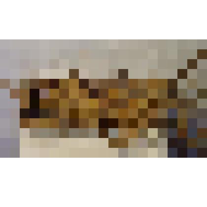 Лапоть на левую ногу