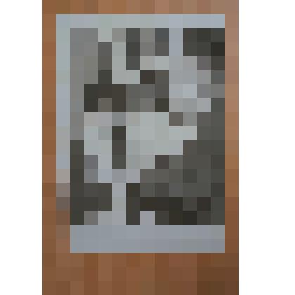 Фотография черно-белая с изображением награждения Грищенко Е.М