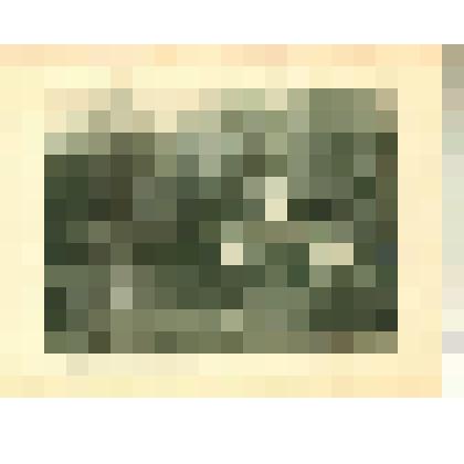 Фото-тинто-гравюра. Храм дружбы в Павловском парке. (С фотографии Н. Г. Матвеева). Из комплекта печатной графики "Историческая панорама Санкт-Петербурга и его окрестностей. Часть шестая. Павловские дворцы и дворцовый парк"