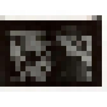 Фотонегатив. Кассиль Л.А