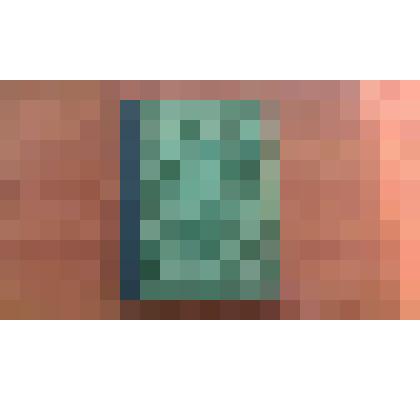 Книга-воспоминание "Борьба за власть советов жителей села Волчоно-Бурлинского"