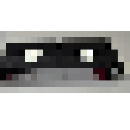 Видеокассета с записью фильма «Развитие спорта в Бородино»