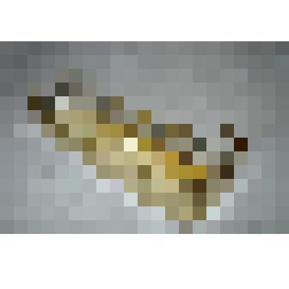 Лоток для карандашей и ручек