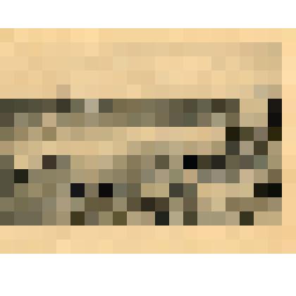 Лист. Прибой волн у бульвара. Из альбома "Виды Севастополя"