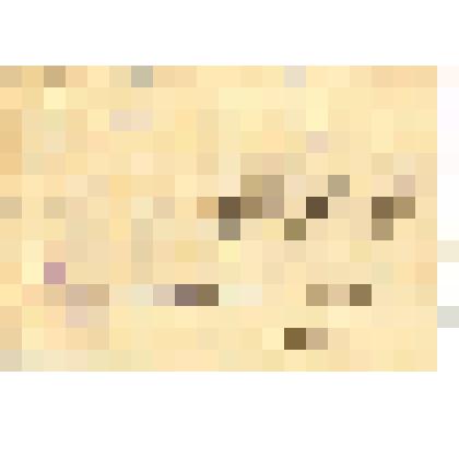 Мандат Минераловой Юлии Алексеевны, члена Исполнительного Комитета Каменского Совета Рабочих, Крестьянских и Солдатских Депутатов