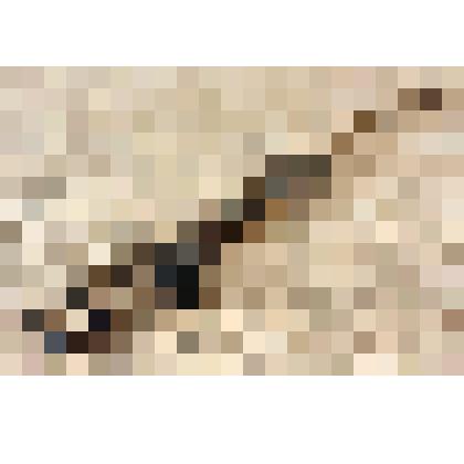 Кронциркуль пружинный Давыдова Л.Н. из коллекции материалов Давыдова Леонида Николаевича, старшего инженера Саратовского областного радиотелевизионного передающего центра, и его жены Давыдовой Натальи Андреевны, старшего инженера передвижной телестанции (