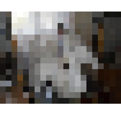 Чучело птицы. Лебедь