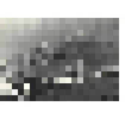 Фотографии. Фото ч/б. Партизаны едут в разведку, 1942 г