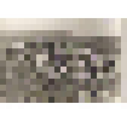 Фотография дотов на берегу моря