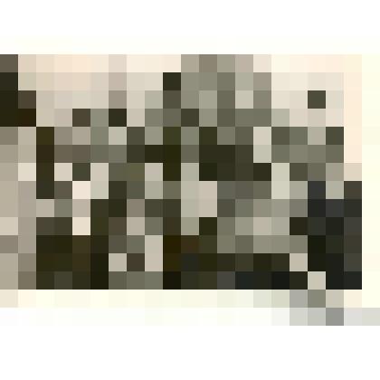 фотография. Групповой снимок учащихся Сельскохозяйственного техникума 3-го курса