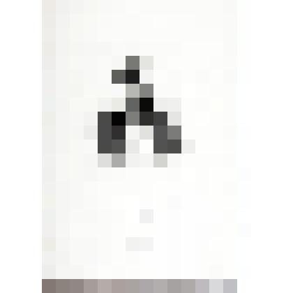 Портрет А. Ровере