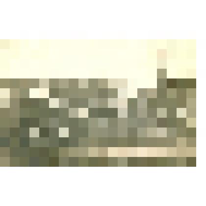 Открытка с изображением Рамонского сахарного завода. Россия