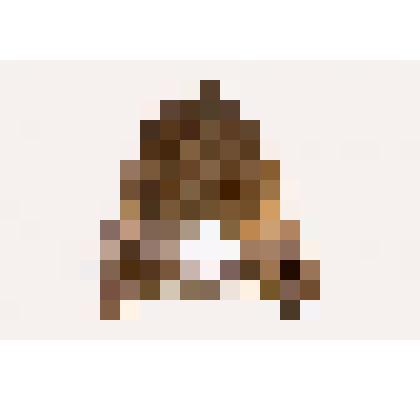 Позвонок животного (предположительно шерстистого носорога)