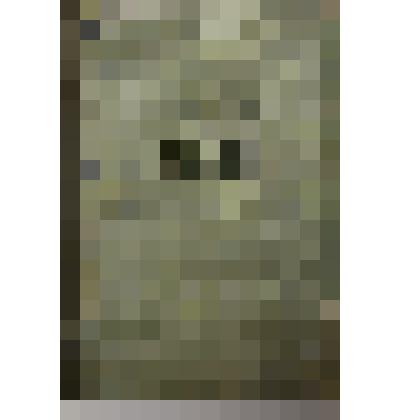 Книга. М.Ю.Лермонтов "Демон"