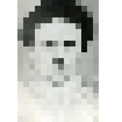 Фотография. Суконникова Н.Д. - делегат XIX Всесоюзной конференции КПСС от Куйбышевской обл