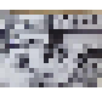 Фотография групповая