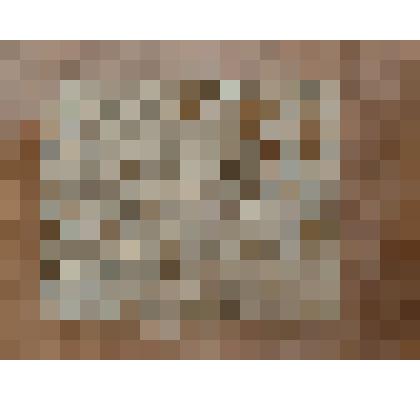 Ракушечник